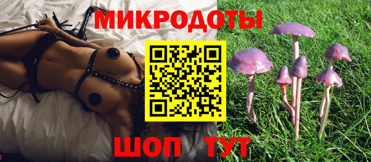 Псилоцибиновые грибы мухоморы Россошь