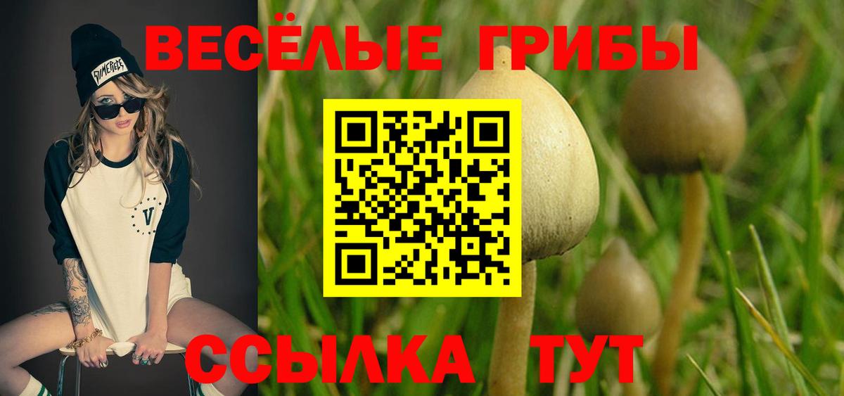 Псилоцибиновые грибы GOLDEN TEACHER  Вход с VPN  Россошь 